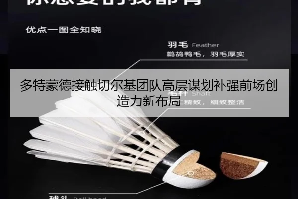 多特蒙德接触切尔基团队高层谋划补强前场创造力新布局